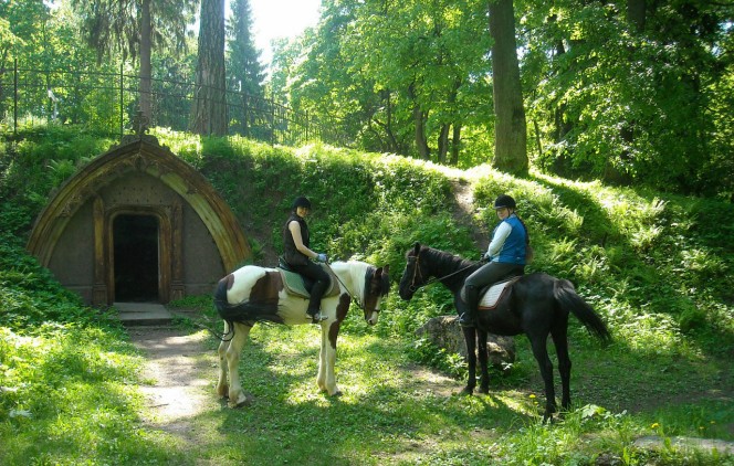 Конные прогулки в Санкт Петербурге